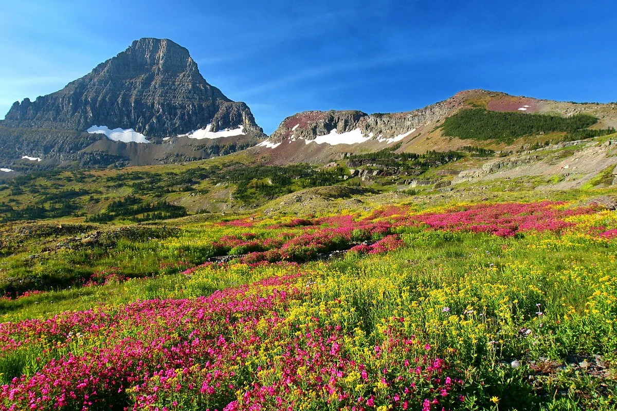 Logan Pass