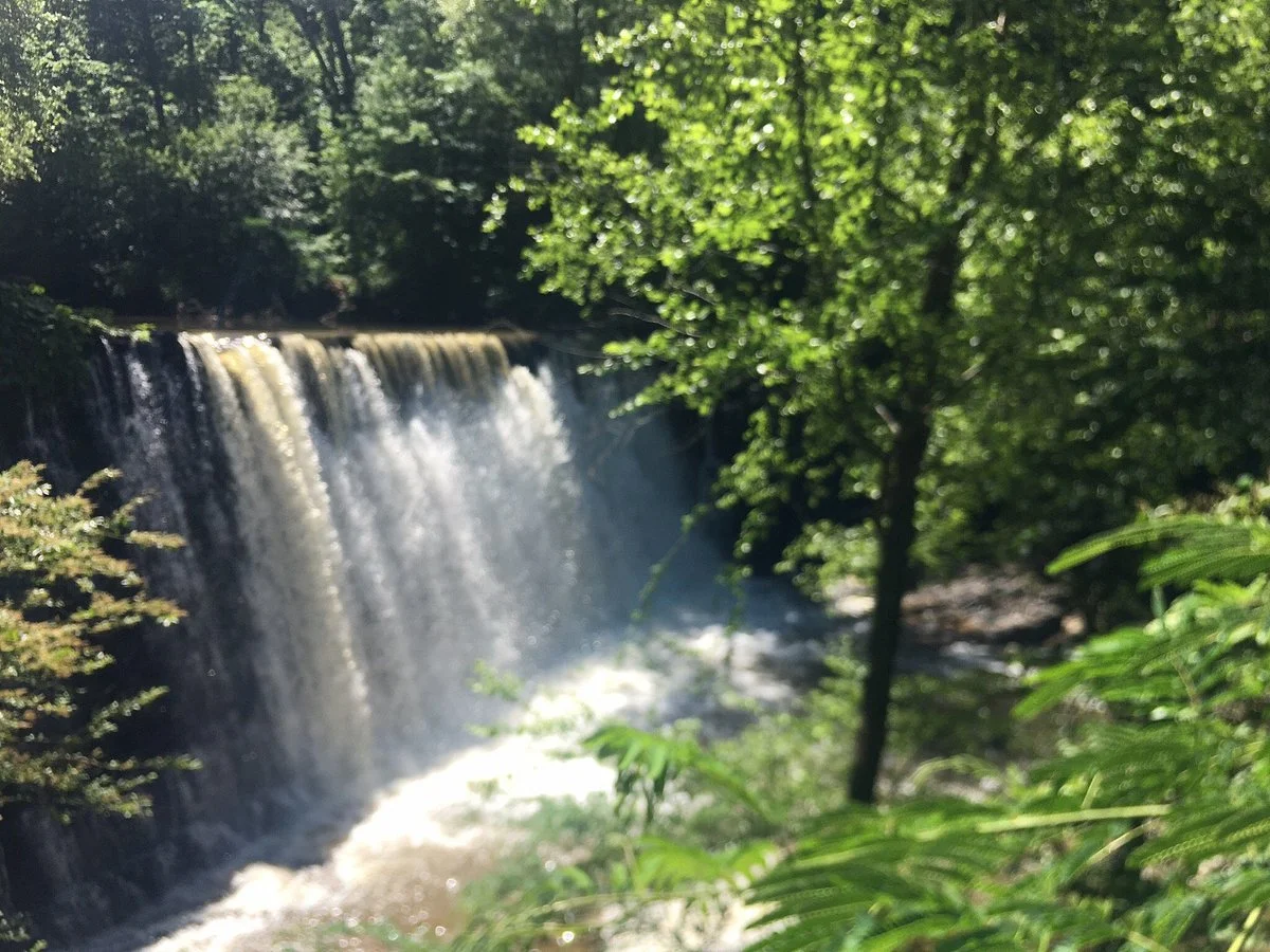 Old Mill Park