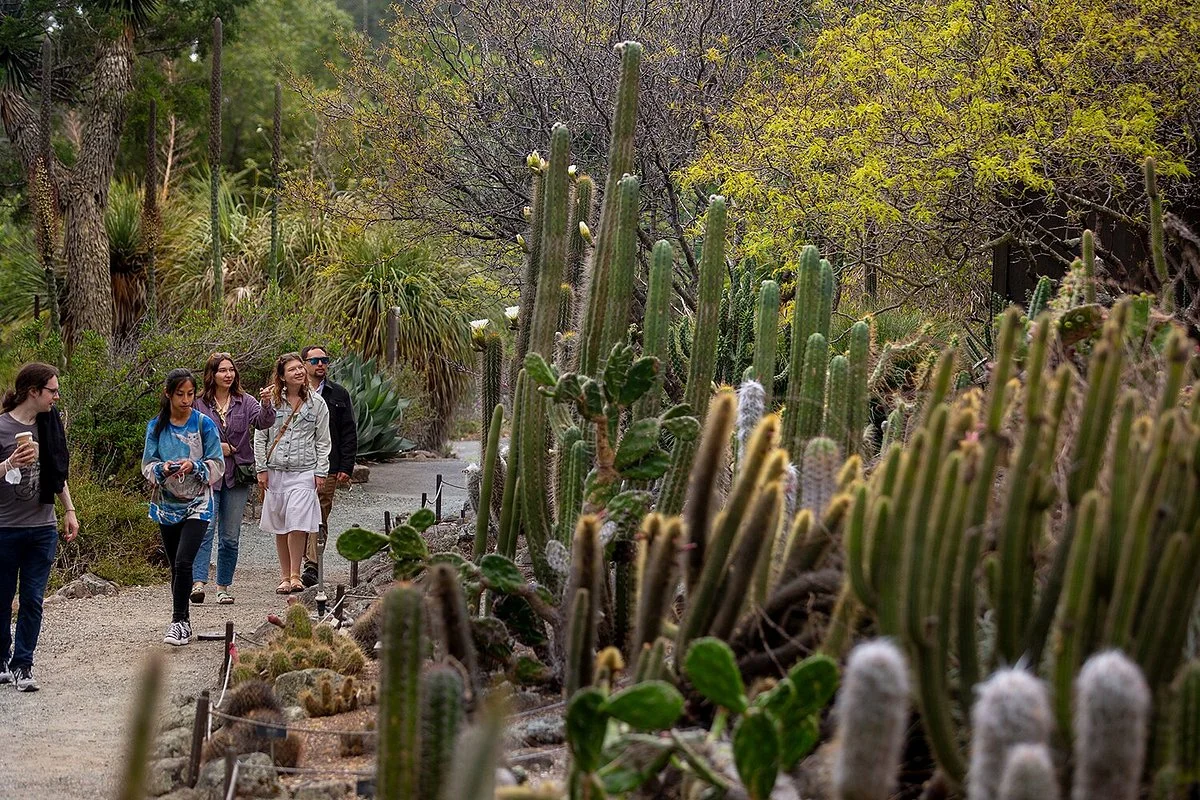 UC Botanical Garden at Berkeley