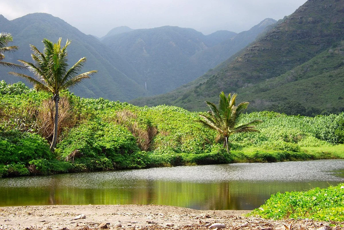 Halawa Valley