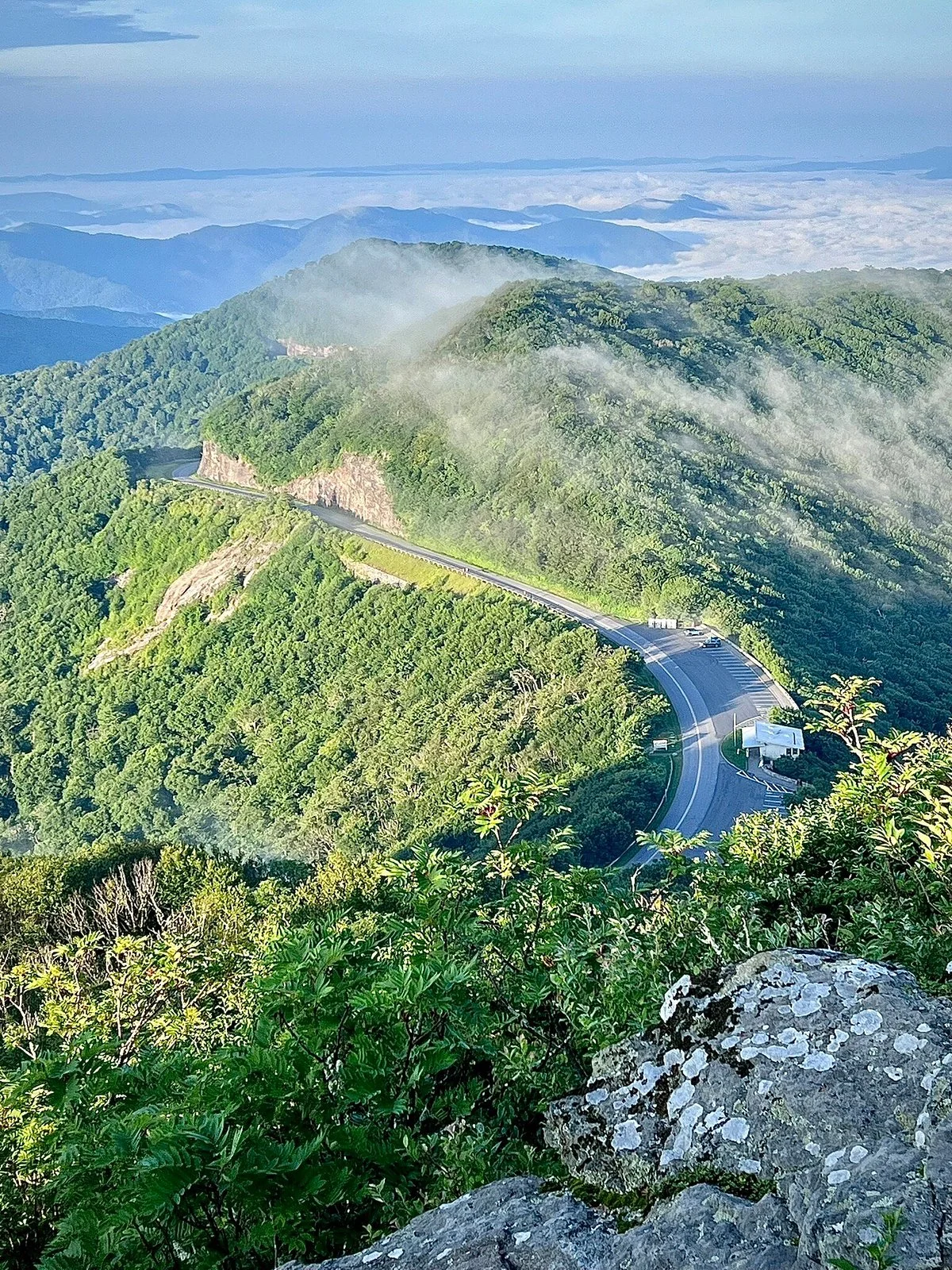 Craggy Gardens