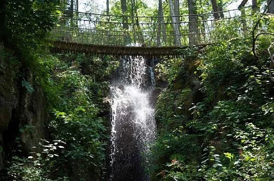 Foxfire Mountain Swinging Bridge