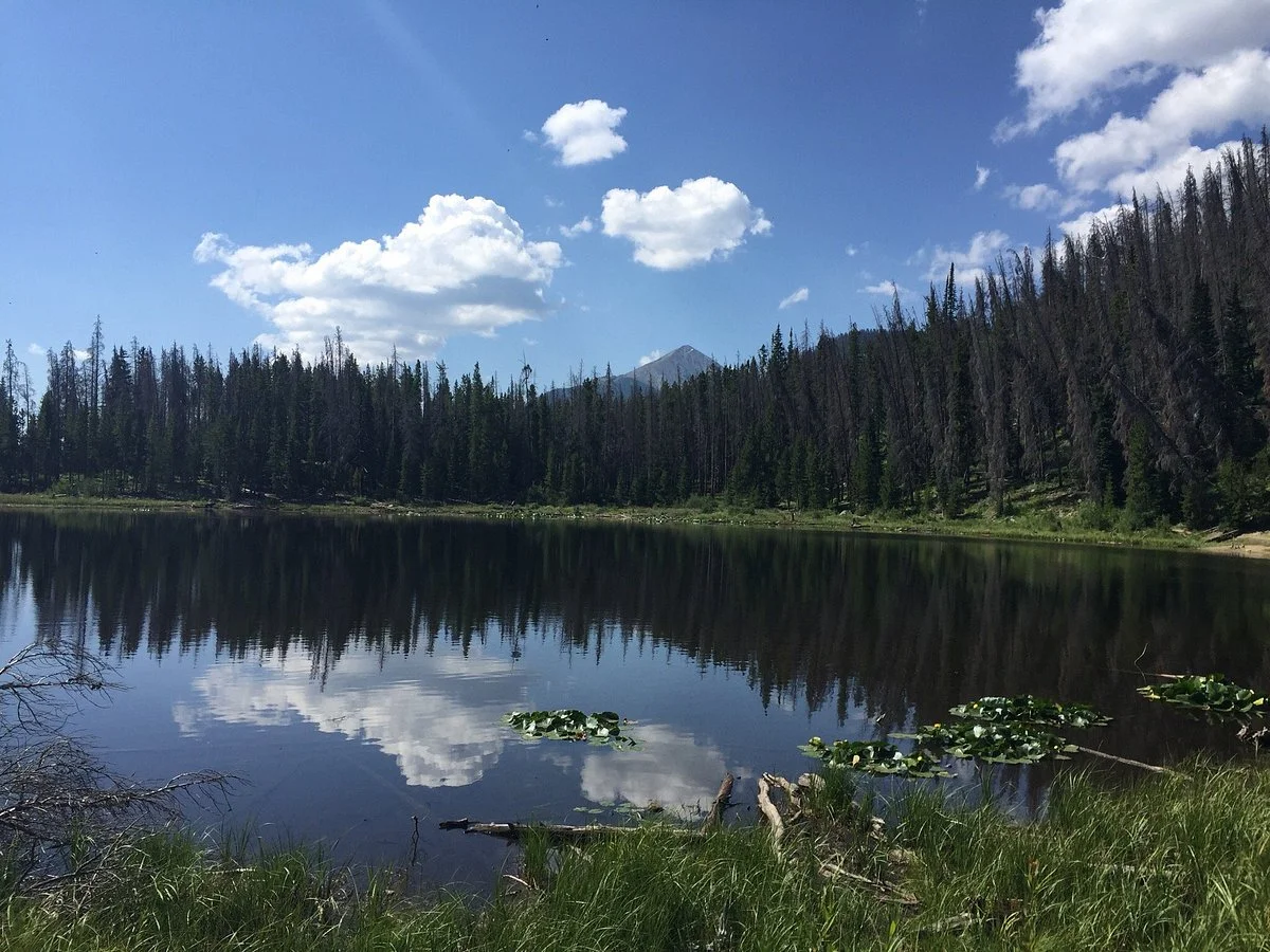 Lily Pad Lake