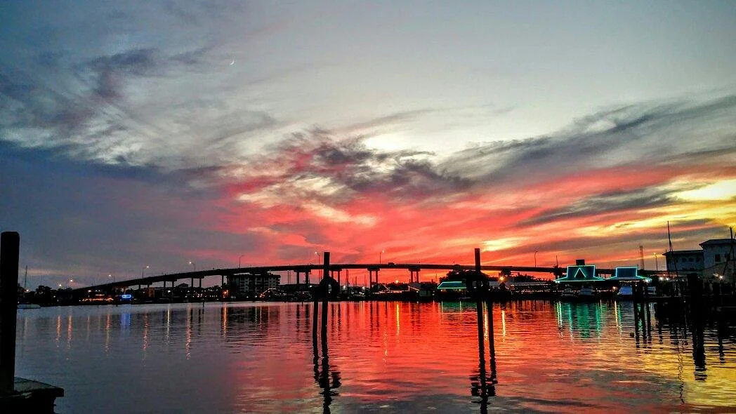 Trico Shrimp Co