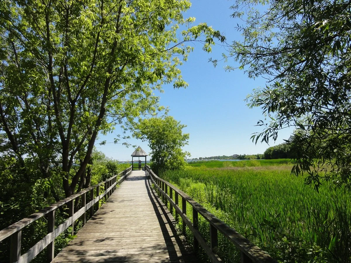 Georgian Trail