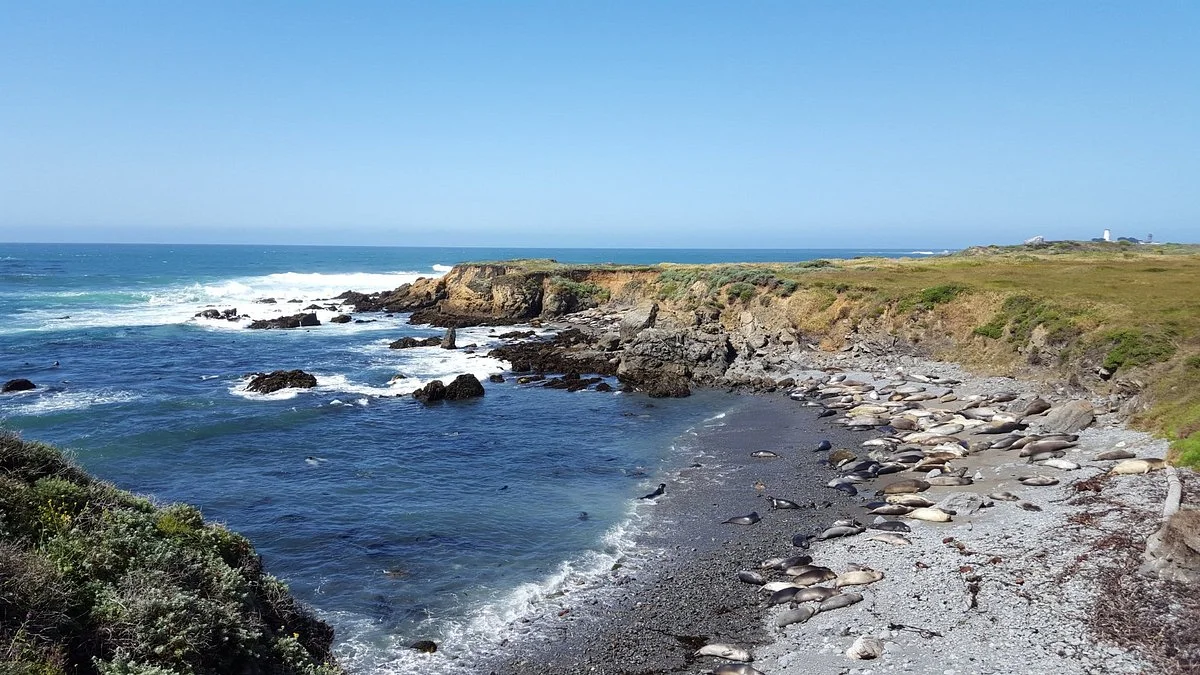 Piedras Blancas
