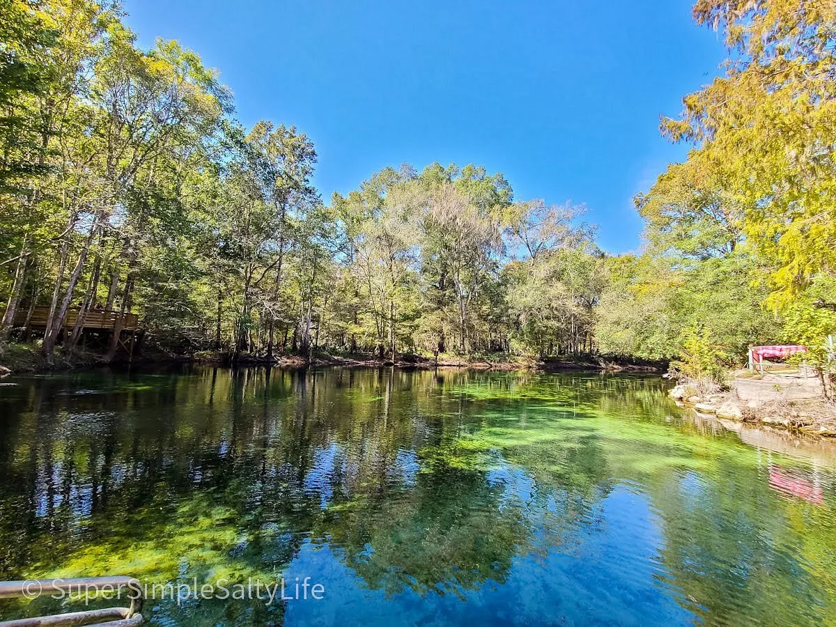 Poe Springs Park