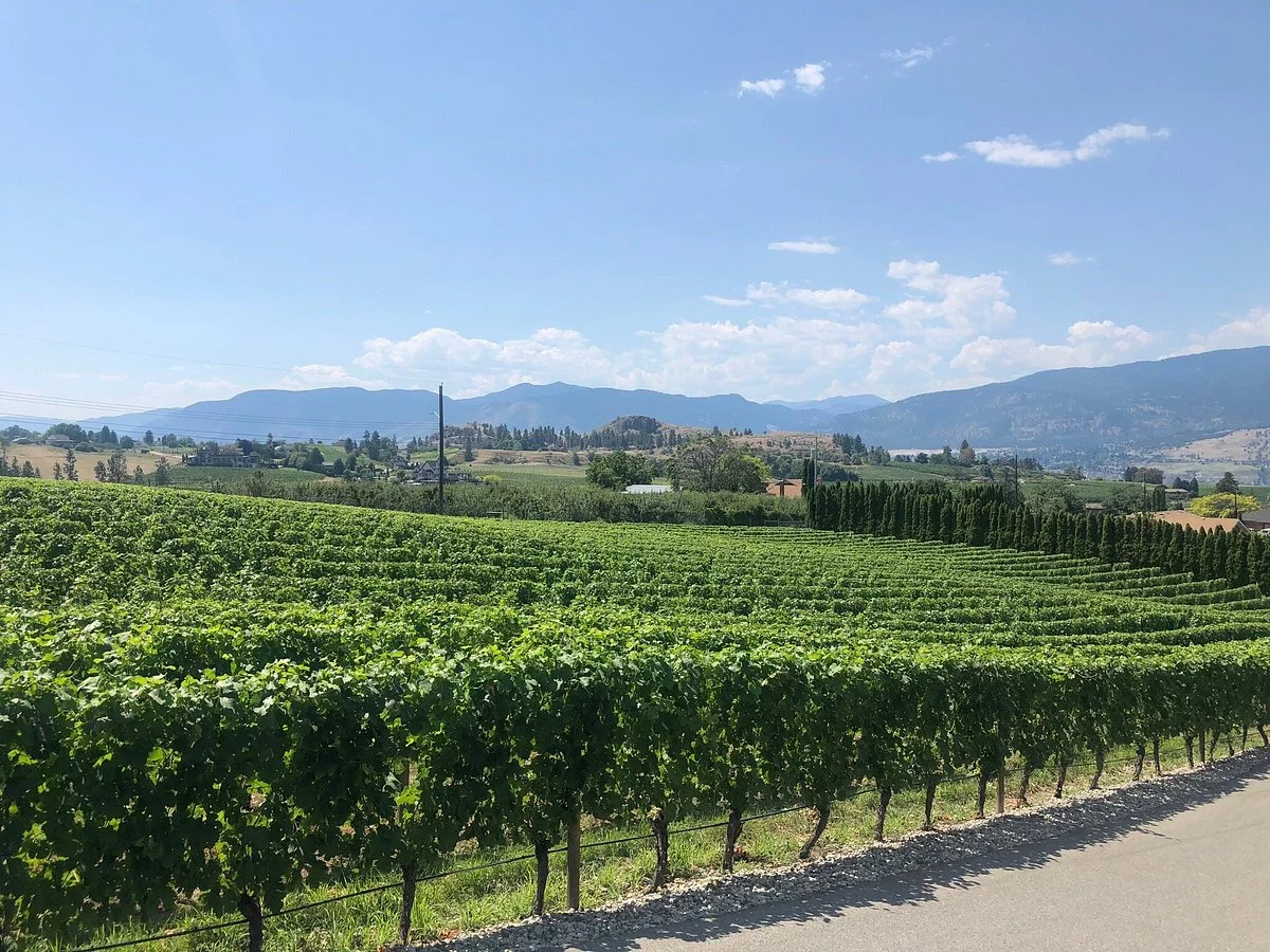 Ruby Blues Winery