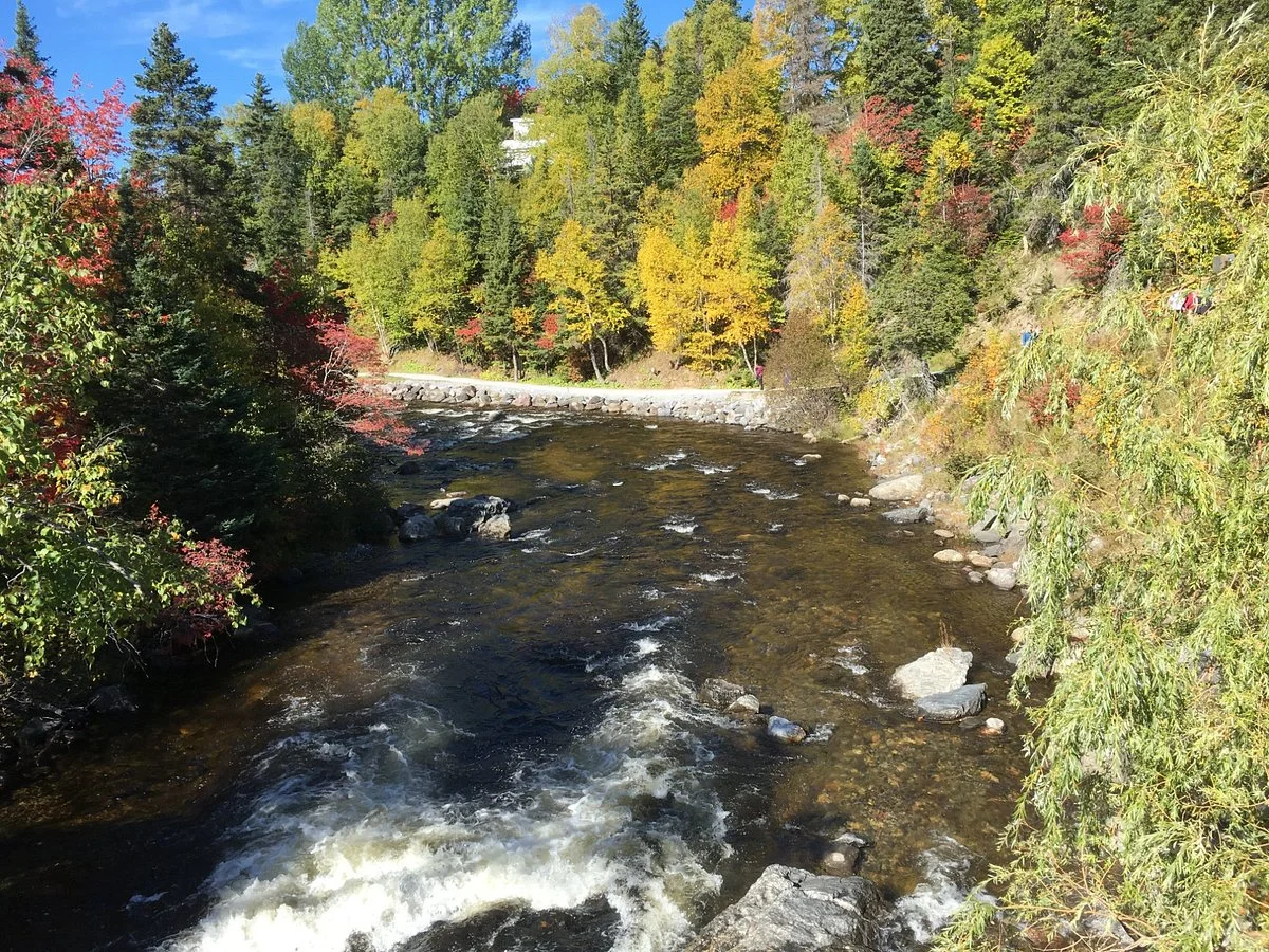 Corner Brook Stream Trail