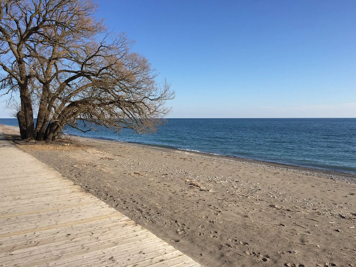 Rotary Park