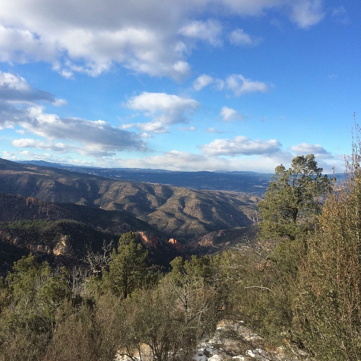 Gila National Forest