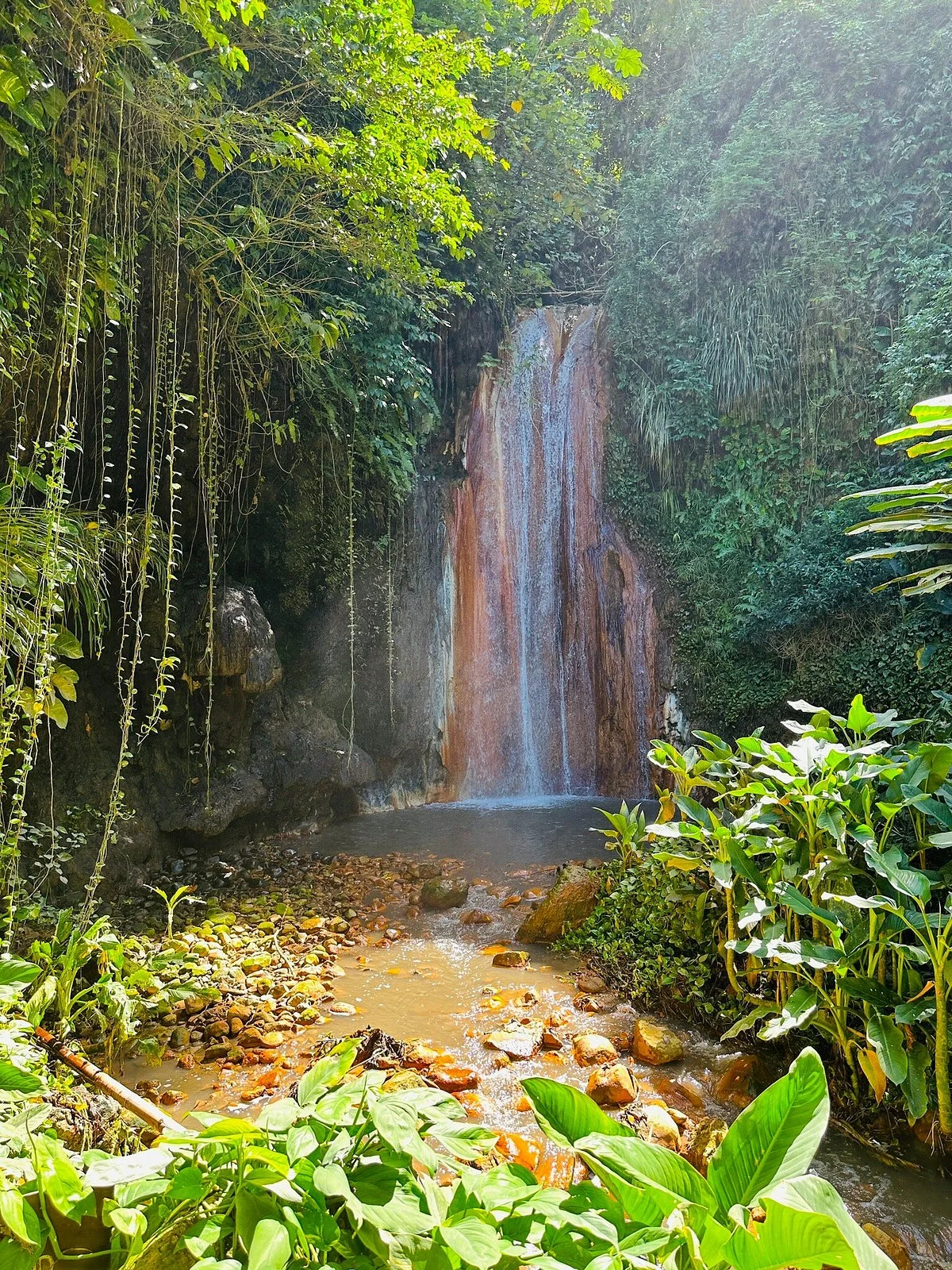 Diamond Falls Botanical Gardens