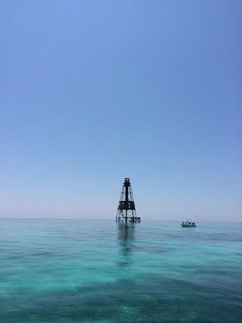 Carysfort Reef