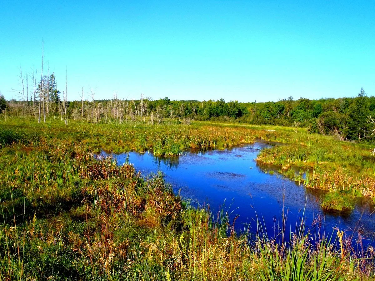 Paul Bunyan State Trail