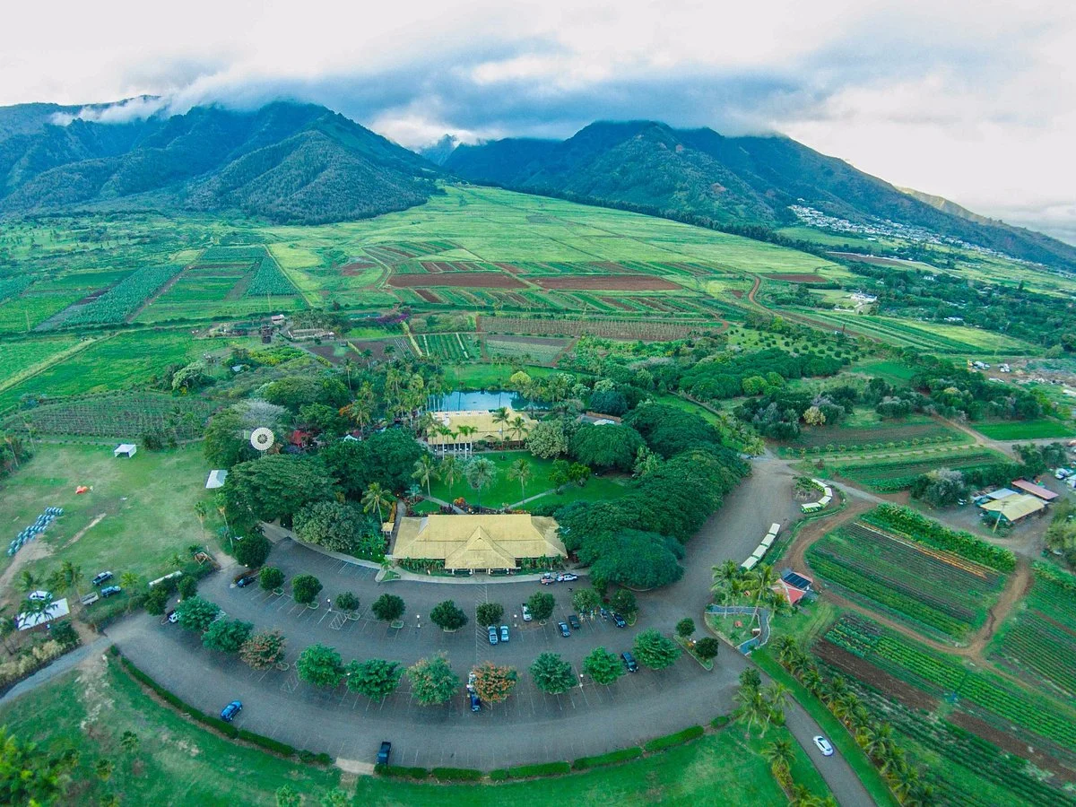 Maui Tropical Plantation