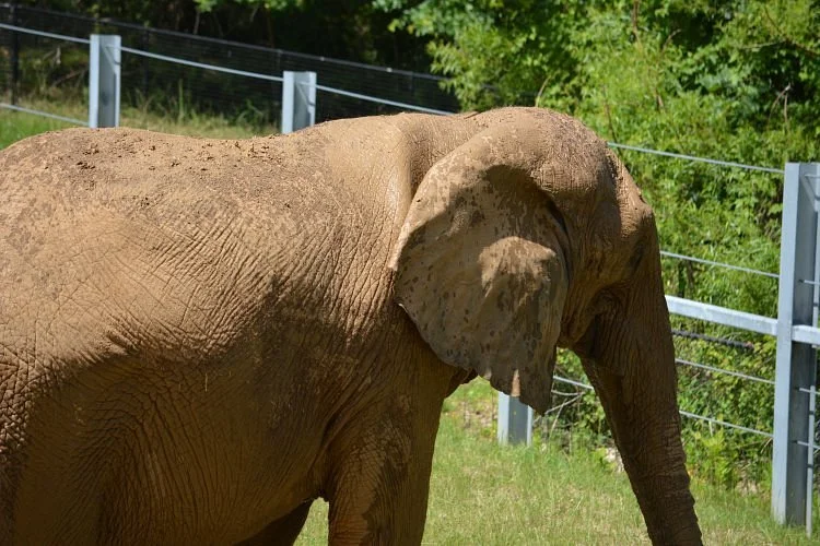 The Maryland Zoo