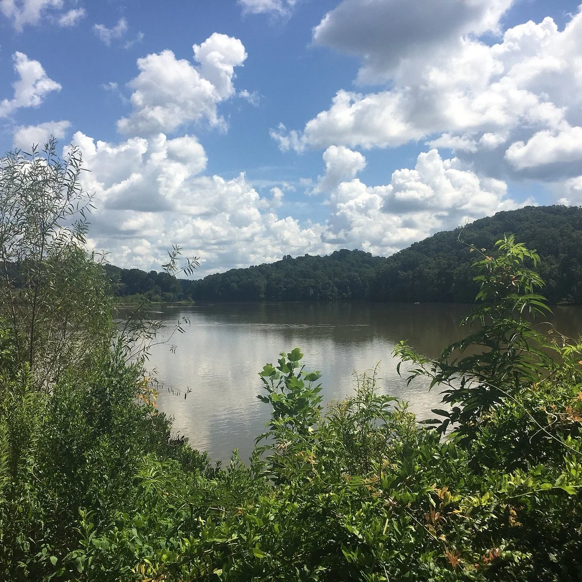 Morgan Falls Overlook Park