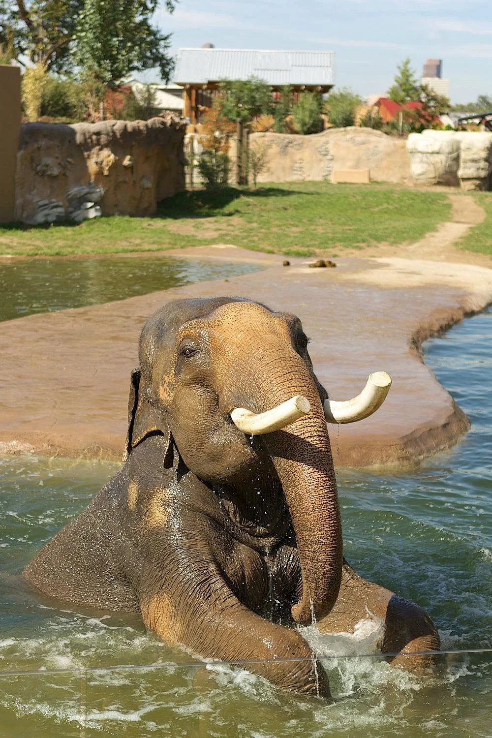 Denver Zoo