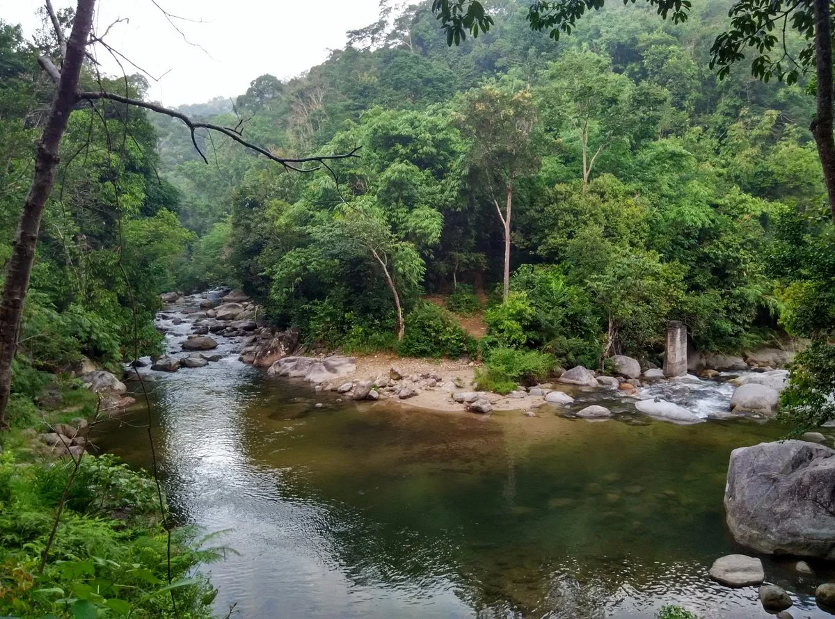 Bukit Kutu
