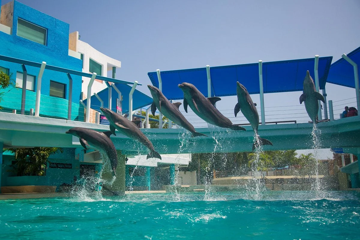 Interactive Aquarium
