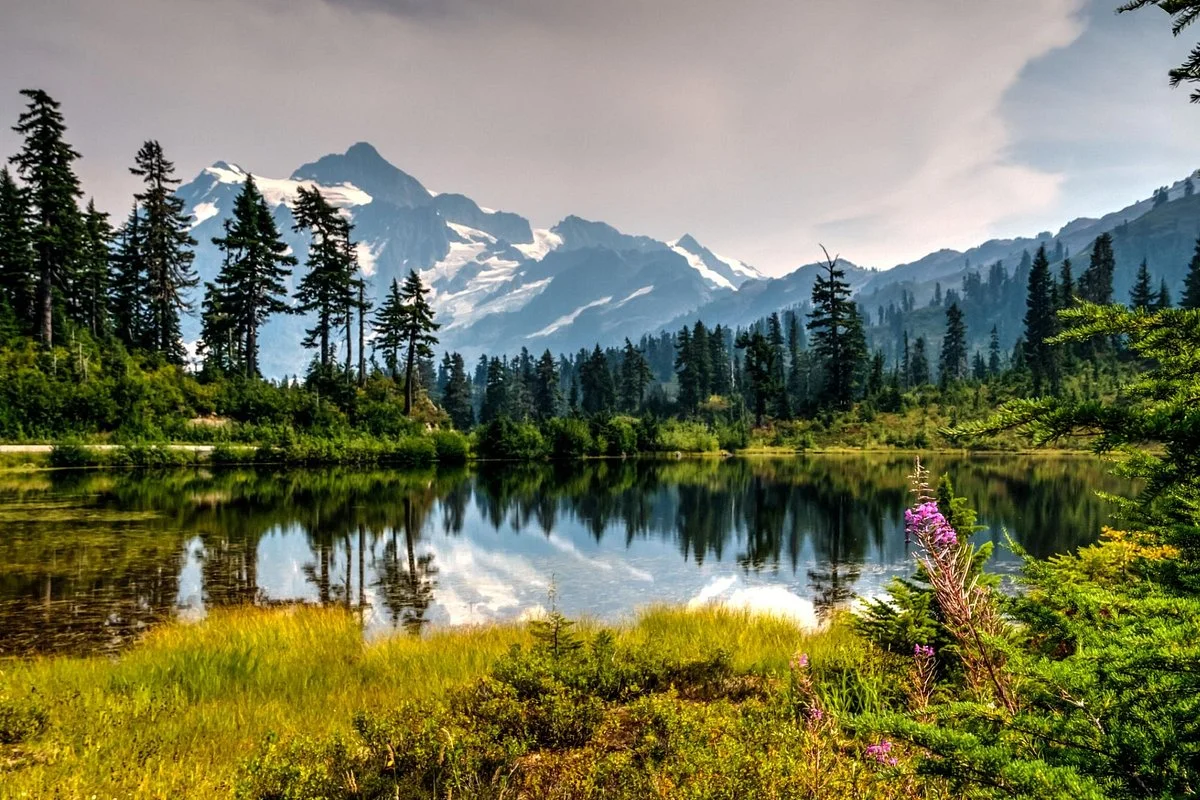 Mount Baker Scenic Byway