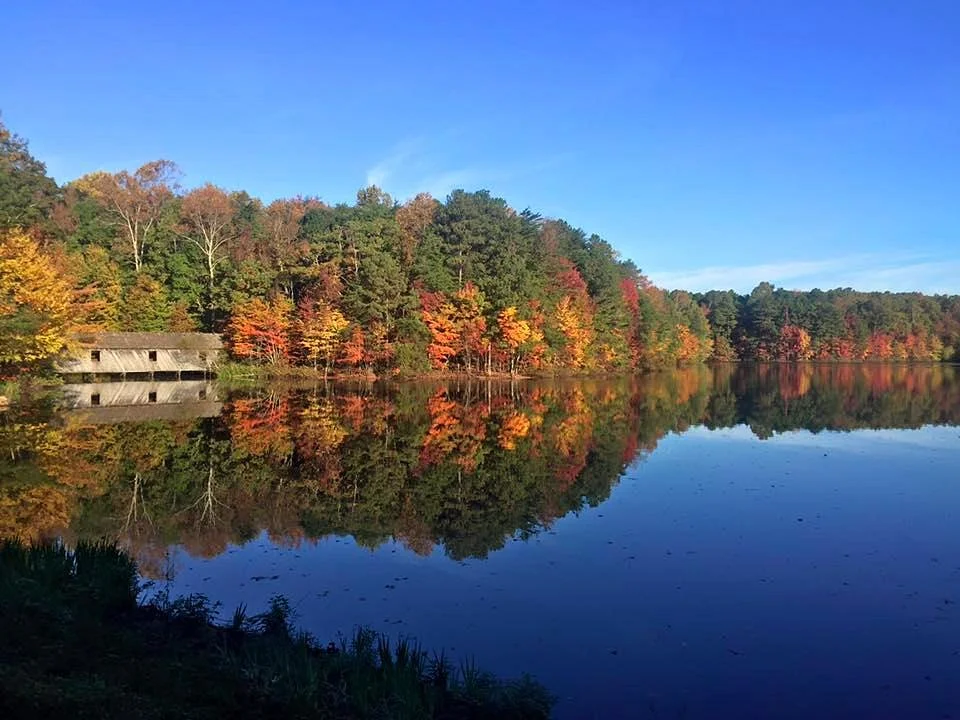 Madison County Nature Trail-Green Mountain