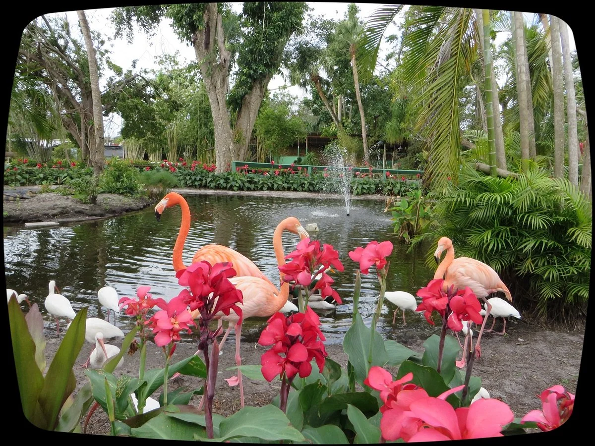 The Wonder Gardens