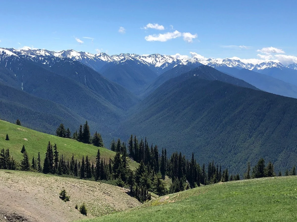 Olympic National Park Visitor Center