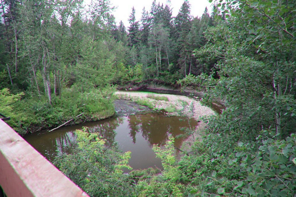 Mill Creek Ravine Park