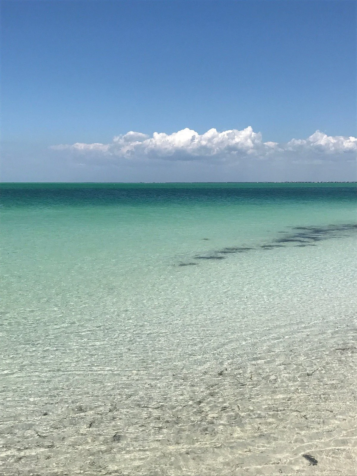 Anclote Key Preserve State Park