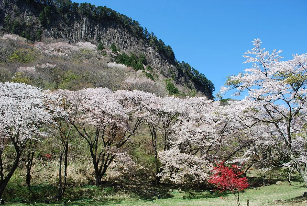 Byobuiwa