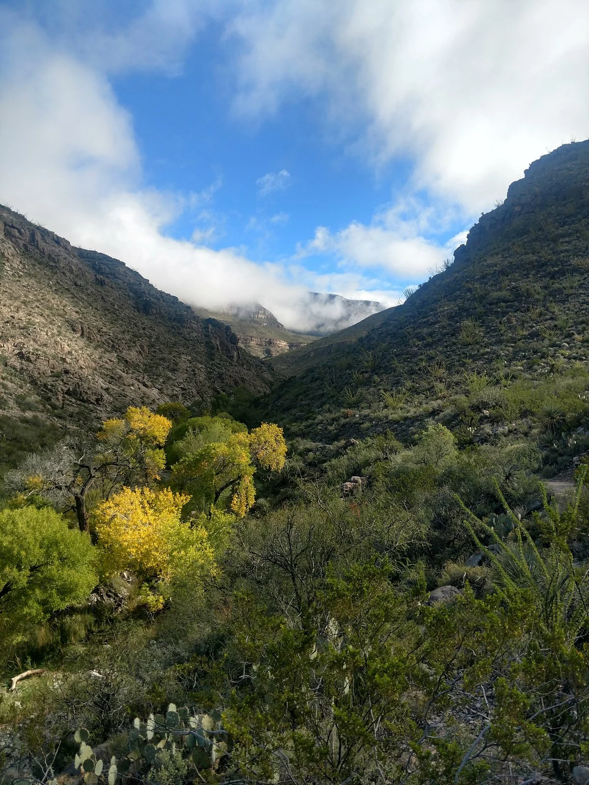 Oliver Lee Memorial State Park