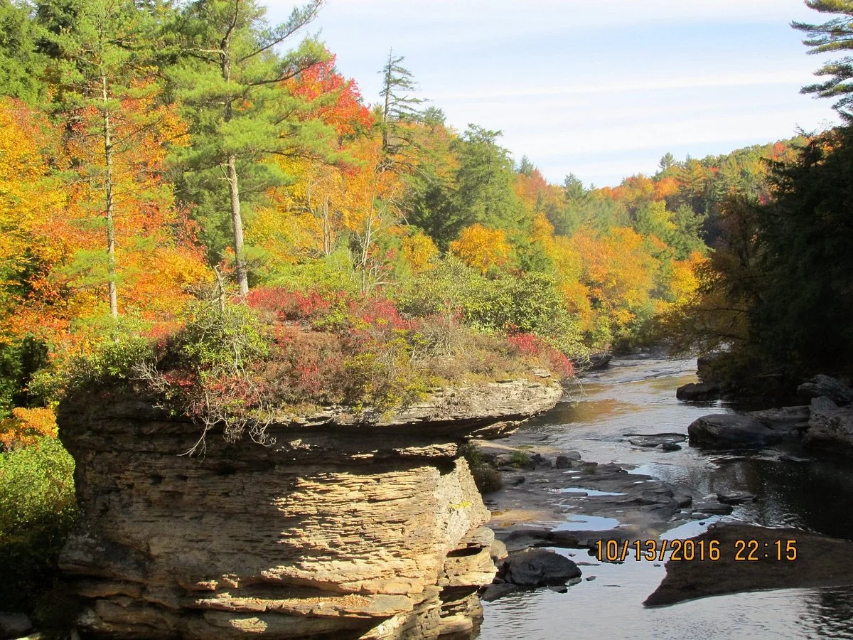 Swallow Falls State Park