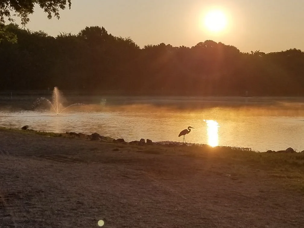 Frank Liske Park
