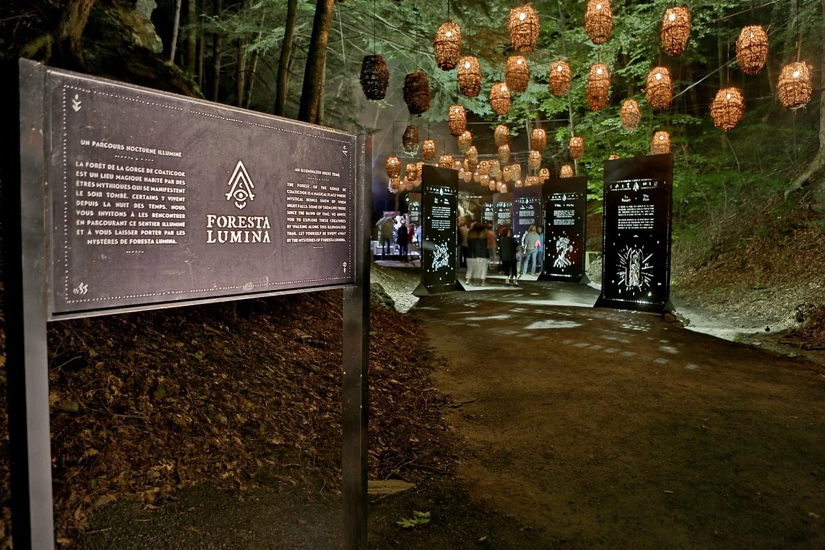 Foresta Lumina