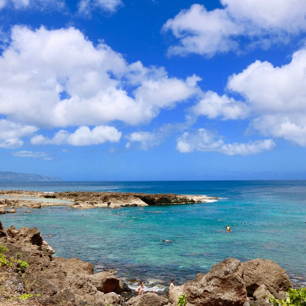Shark's Cove