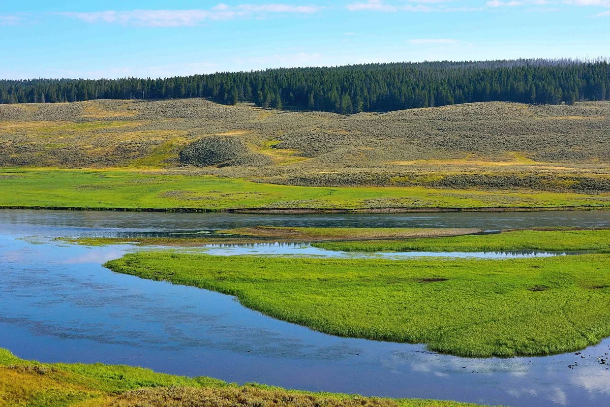 Hayden Valley