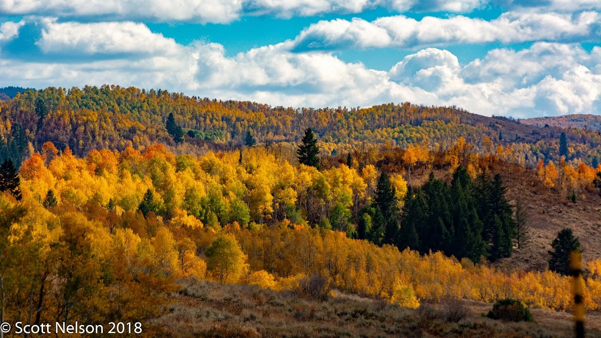 Logan Canyon Scenic Drive