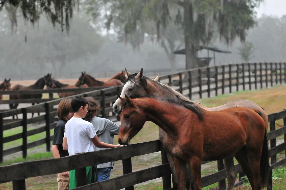 Farm Tours of Ocala
