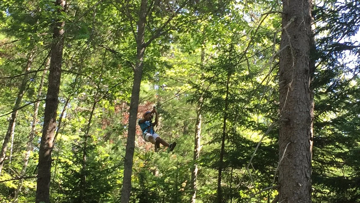 TreeGO - Moncton