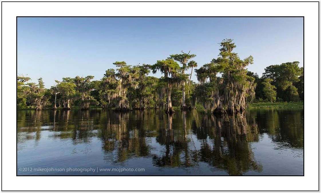 Blue Cypress Lake