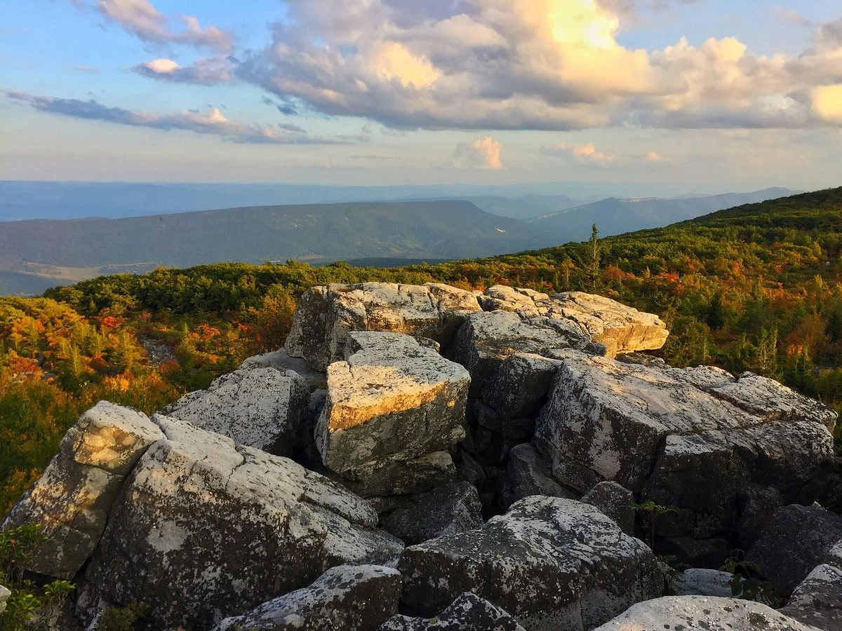 Dolly Sods Wilderness Area