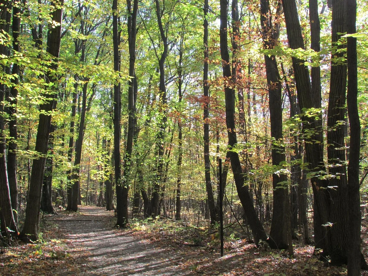 Parc Michel-Chartrand