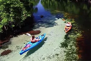 Anderson's Outdoor Adventures Santa Fe River Park