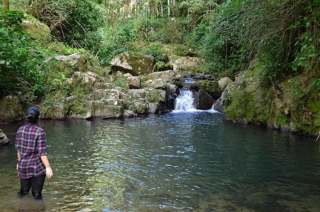 Toro Negro State Forest