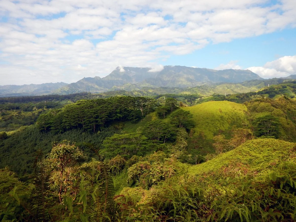 Kuilau Ridge Trail