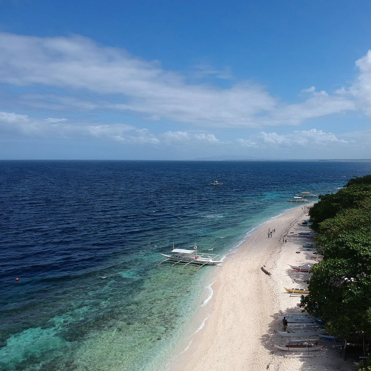 Balicasag Reef