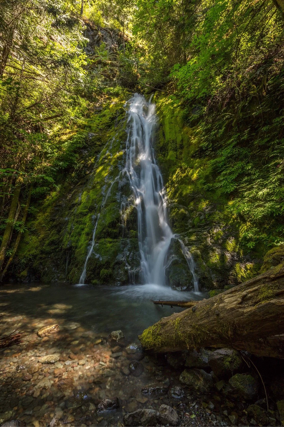 Madison Creek Falls