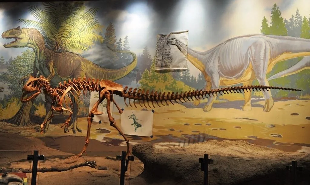 Utah Field House of Natural History State Park