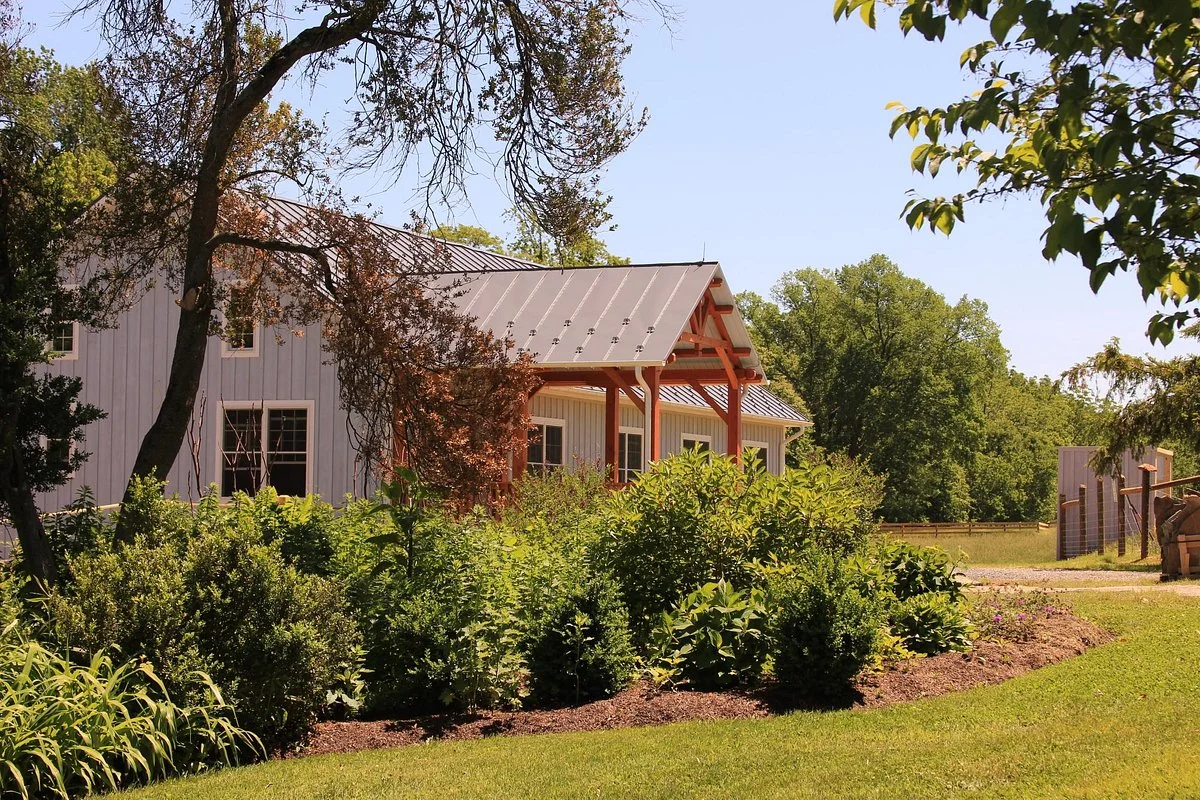 Zephaniah Farm Vineyard